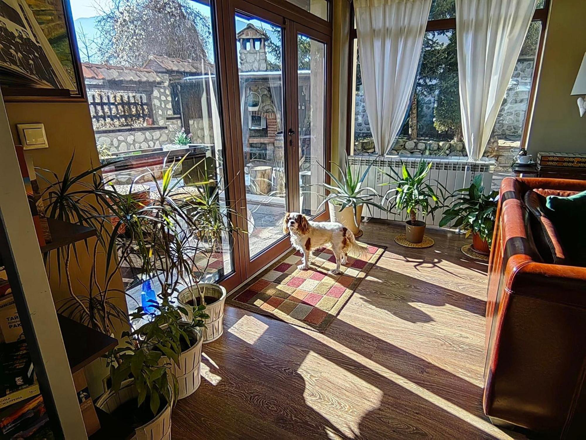 Hotel Famil - Adults Only Bansko Eksteriør billede